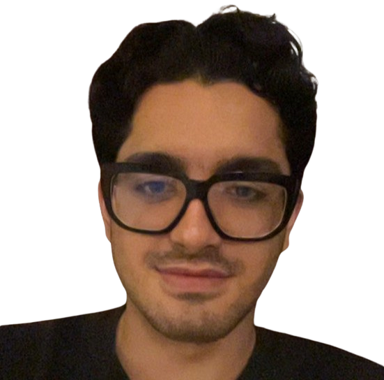 Amirreza Amini